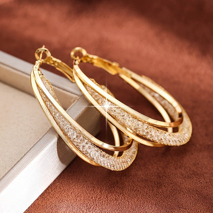 ⭐Lymphatic fashion Oval Earrings 🔥New Year Mega Sale, Limited Time Offer, Up to 80% Off🔥