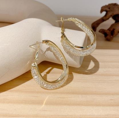 ⭐Lymphatic fashion Oval Earrings 🔥New Year Mega Sale, Limited Time Offer, Up to 80% Off🔥